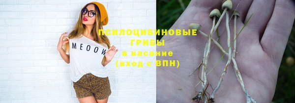 мескалин Богданович