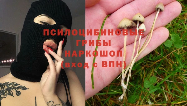 мескалин Богданович