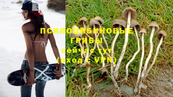 мескалин Богданович