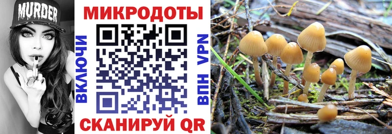 Купить закладки Грязи Галлюциногенные грибы GOLDEN TEACHER
